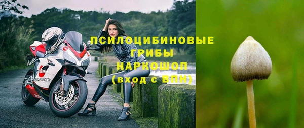сатива Алзамай